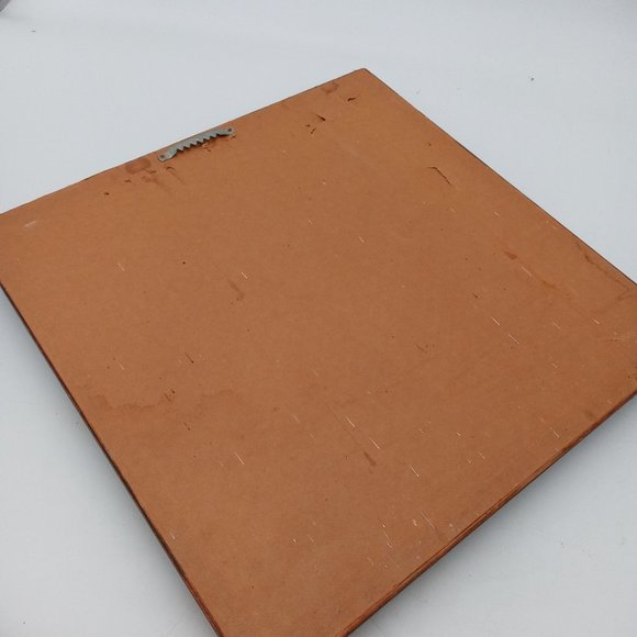 Beautiful Horse Photograph Framed Found Photo Art Cowboy Western Ranch Decor 14 - Picture 4 of 13